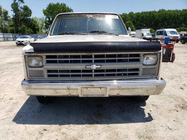 1GCER14H0HF316430 - 1987 CHEVROLET R10 WHITE photo 5