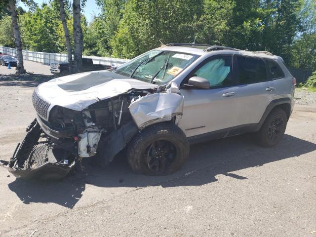 1C4PJMBX3LD515133 - 2020 JEEP CHEROKEE TRAILHAWK SILVER photo 1