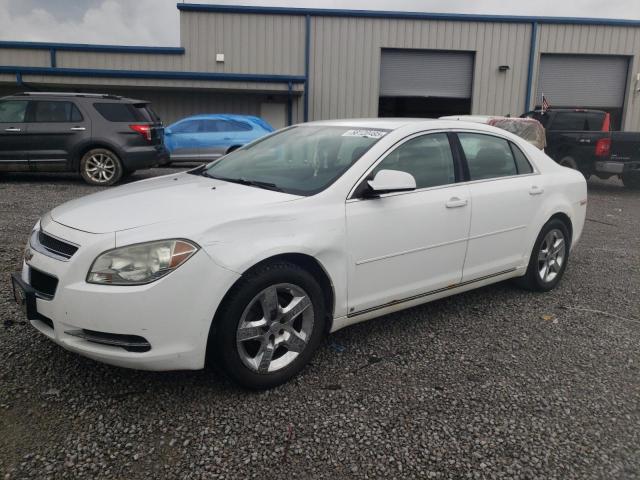 1G1ZH57BX9F237344 - 2009 CHEVROLET MALIBU 1LT 白色 照片 1