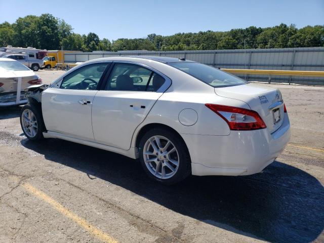 1N4AA5AP4AC842923 - 2010 NISSAN MAXIMA S WHITE photo 2