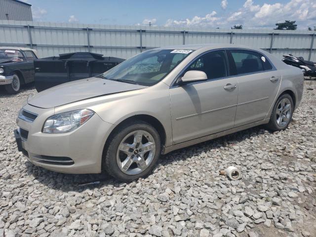 1G1ZH57B69F170614 - 2009 CHEVROLET MALIBU 1LT 金色 照片 1