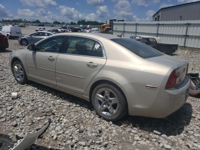 1G1ZH57B69F170614 - 2009 CHEVROLET MALIBU 1LT 金色 照片 2