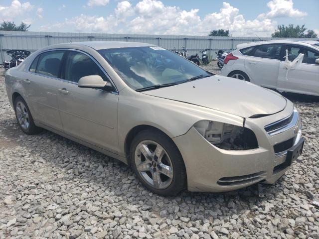 1G1ZH57B69F170614 - 2009 CHEVROLET MALIBU 1LT 金色 照片 4