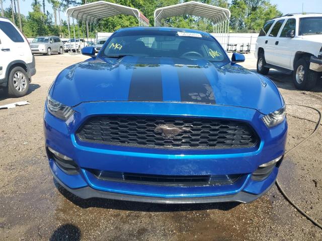 1FA6P8AM9H5255899 - 2017 FORD MUSTANG BLUE photo 5