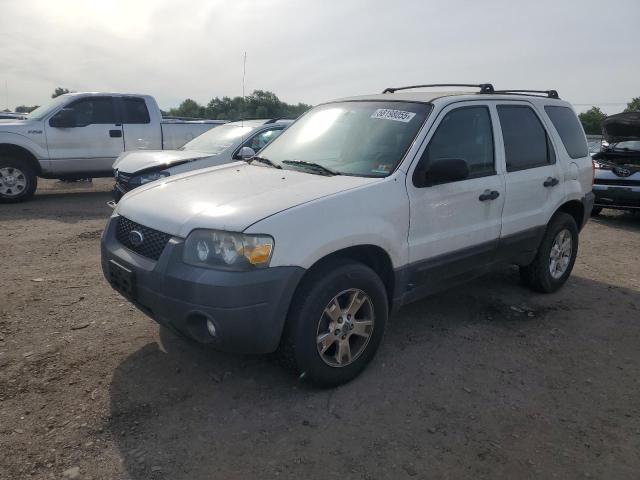 2007 FORD ESCAPE XLT, null