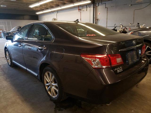 JTHBK1EG8A2368381 - 2010 LEXUS ES 350 BROWN photo 3