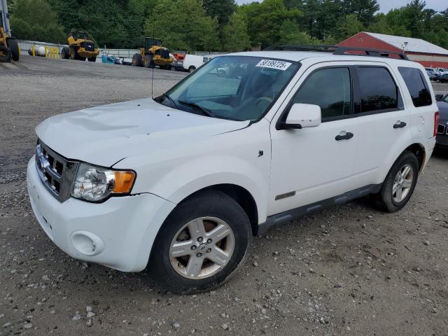 2008 FORD ESCAPE HEV, 