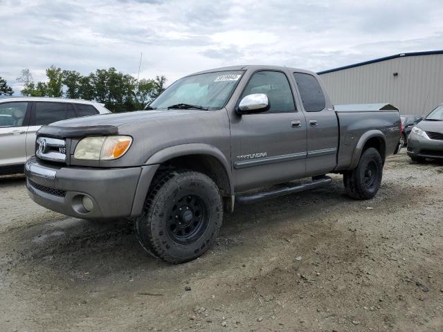 5TBRT34165S464748 - 2005 TOYOTA TUNDRA ACCESS CAB SR5 GRAY photo 1
