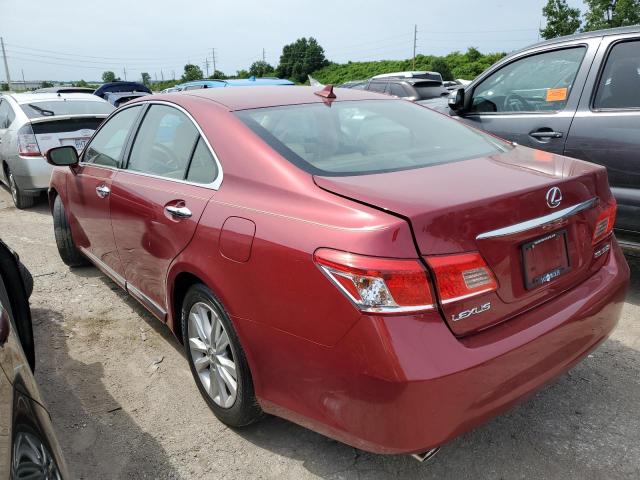 JTHBK1EG1A2362681 - 2010 LEXUS ES 350 RED photo 2