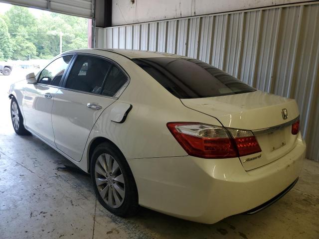 1HGCR2F8XEA237061 - 2014 HONDA ACCORD EXL WHITE photo 2