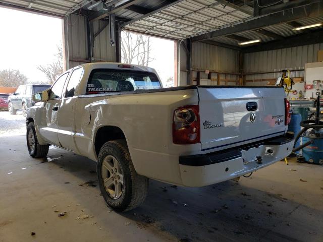 1D7RE3BK6BS610894 - 2011 DODGE DAKOTA SLT WHITE photo 3