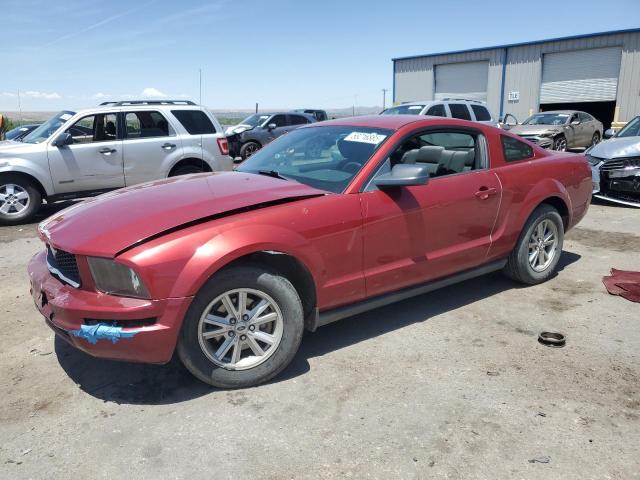 2005 FORD MUSTANG, null