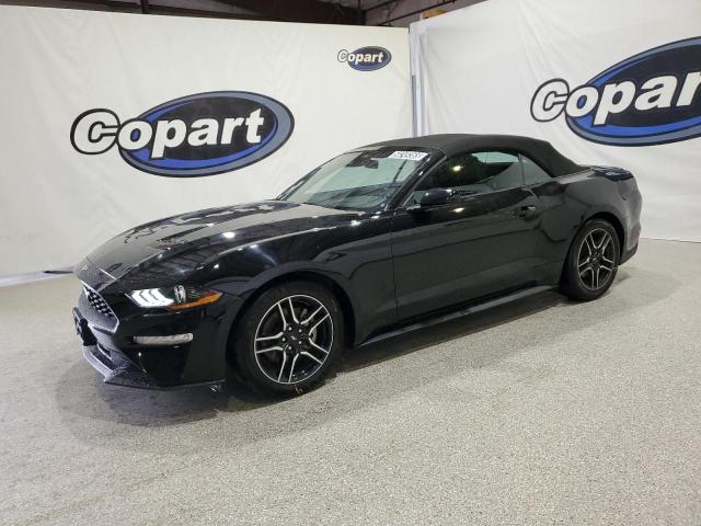 2023 FORD MUSTANG, null