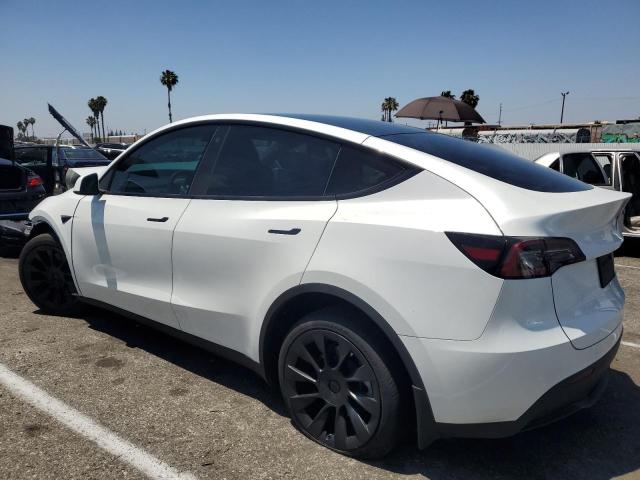 7SAYGDEE3PA070906 - 2023 TESLA MODEL Y WHITE photo 2