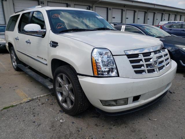 1GYUKJEF2AR284737 - 2010 CADILLAC ESCALADE ESV PREMIUM WHITE photo 4