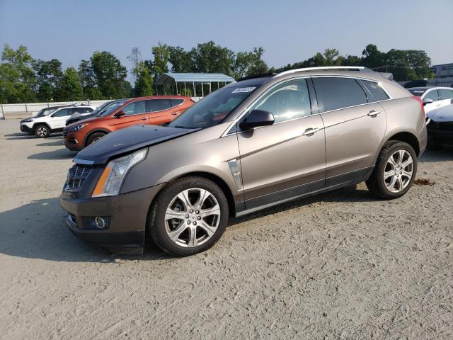 3GYFNBEY5BS514034 - 2011 CADILLAC SRX PERFORMANCE COLLECTION Złoty zdjęcie 1