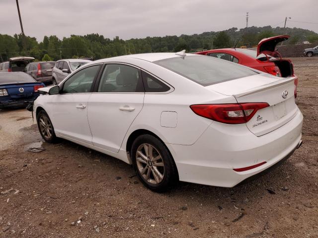 5NPE24AF9GH281092 - 2016 HYUNDAI SONATA SE WHITE photo 2