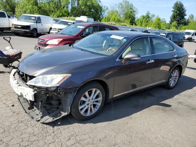 2010 LEXUS ES 350, null