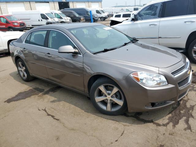1G1ZC5E19BF316681 - 2011 CHEVROLET MALIBU 1LT 棕色 照片 4