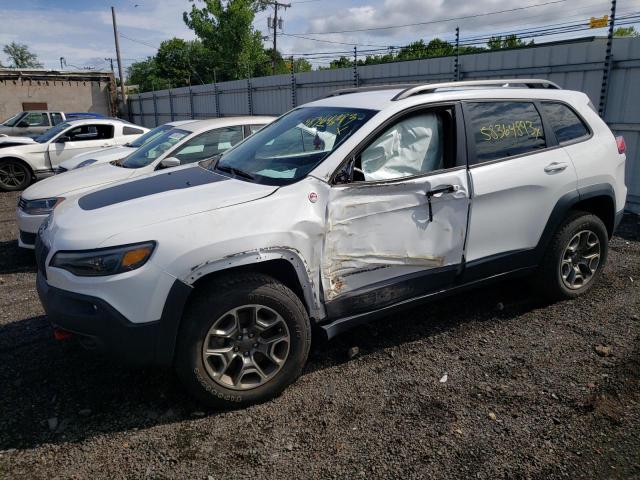 1C4PJMBX8LD583024 - 2020 JEEP CHEROKEE TRAILHAWK WHITE photo 1