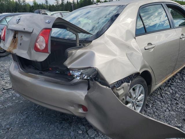 2T1BU4EE0AC232145 - 2010 TOYOTA COROLLA BASE Beige foto 12