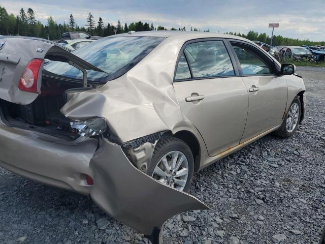 2T1BU4EE0AC232145 - 2010 TOYOTA COROLLA BASE Beige foto 3