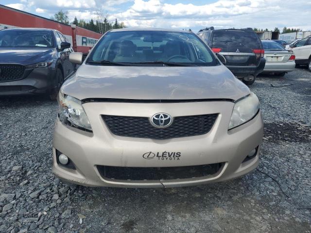 2T1BU4EE0AC232145 - 2010 TOYOTA COROLLA BASE Beige foto 5