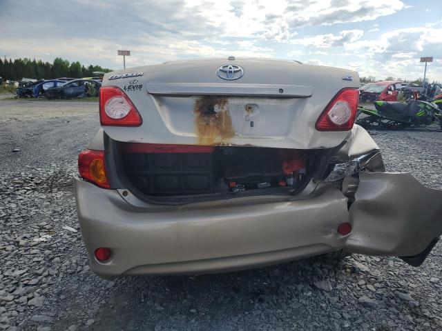 2T1BU4EE0AC232145 - 2010 TOYOTA COROLLA BASE Beige foto 6