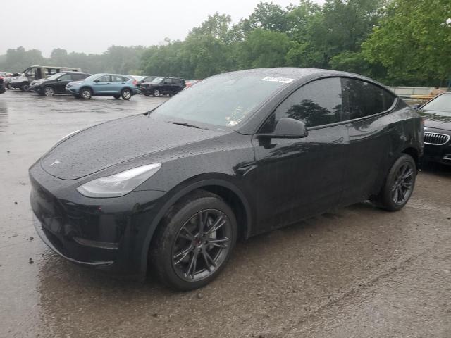 2024 TESLA MODEL Y, null
