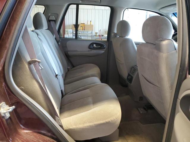 1GNDT13S062347375 - 2006 CHEVROLET TRAILBLAZE LS BURGUNDY photo 10