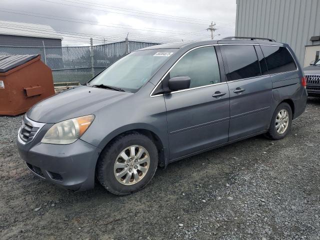 2010 HONDA ODYSSEY EXL, null