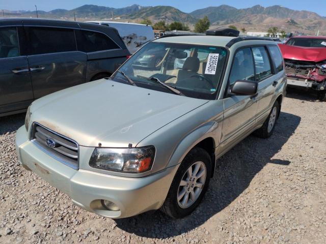 JF1SG65635H714028 - 2005 SUBARU FORESTER 2.5XS თაფლისფერი ფოტო 1
