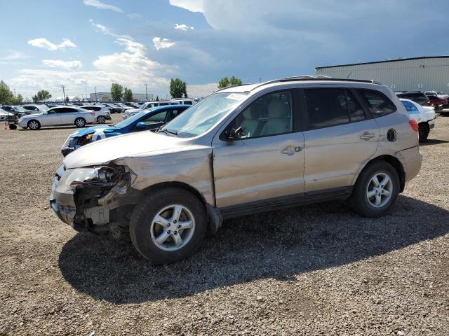 5NMSG73E77H126421 - 2007 HYUNDAI SANTA FE GL BEIGE photo 1