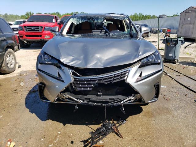 JTJBARBZ5K2195250 - 2019 LEXUS NX 300 BASE 灰色 照片 5