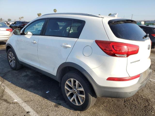 KNDPB3AC7E7606672 - 2014 KIA SPORTAGE BASE WHITE photo 2