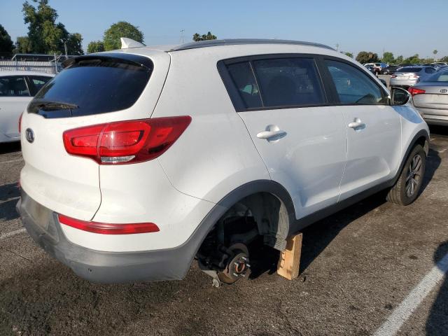 KNDPB3AC7E7606672 - 2014 KIA SPORTAGE BASE WHITE photo 3