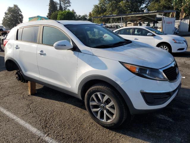 KNDPB3AC7E7606672 - 2014 KIA SPORTAGE BASE WHITE photo 4