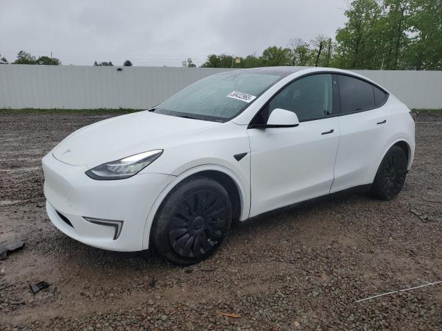 2023 TESLA MODEL Y, null