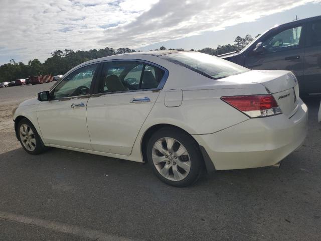 5KBCP3F83AB003521 - 2010 HONDA ACCORD EXL WHITE photo 2