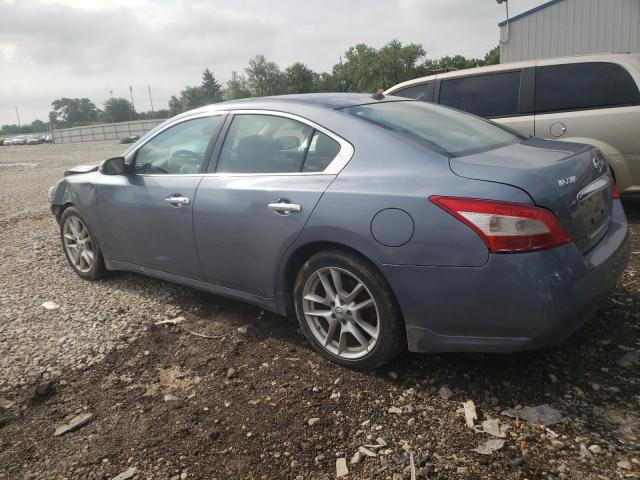 1N4AA5AP2AC800850 - 2010 NISSAN MAXIMA S BLUE photo 2