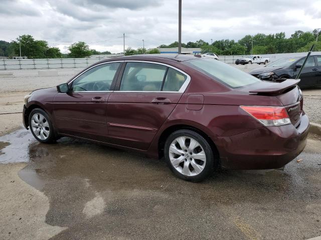 5KBCP3F80AB007123 - 2010 HONDA ACCORD EXL BURGUNDY photo 2