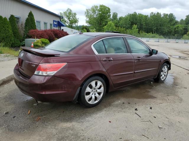 5KBCP3F80AB007123 - 2010 HONDA ACCORD EXL BURGUNDY photo 3