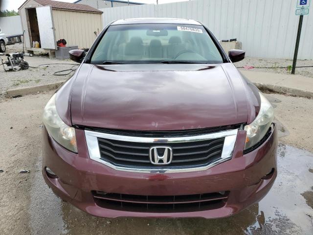 5KBCP3F80AB007123 - 2010 HONDA ACCORD EXL BURGUNDY photo 5