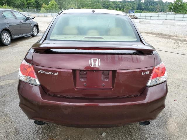 5KBCP3F80AB007123 - 2010 HONDA ACCORD EXL BURGUNDY photo 6