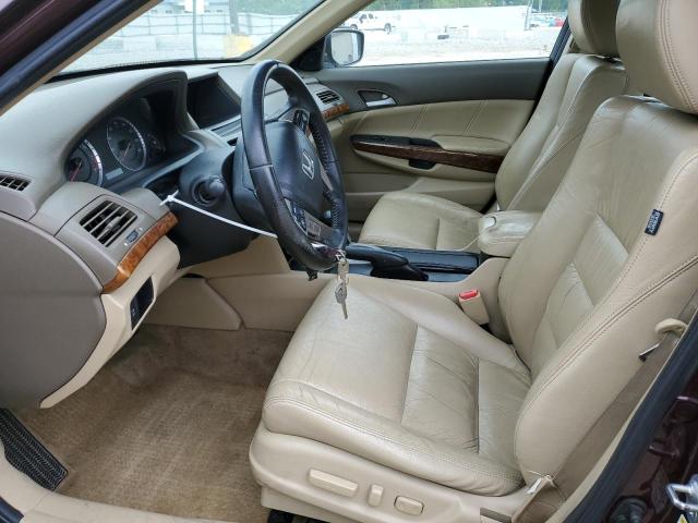 5KBCP3F80AB007123 - 2010 HONDA ACCORD EXL BURGUNDY photo 7