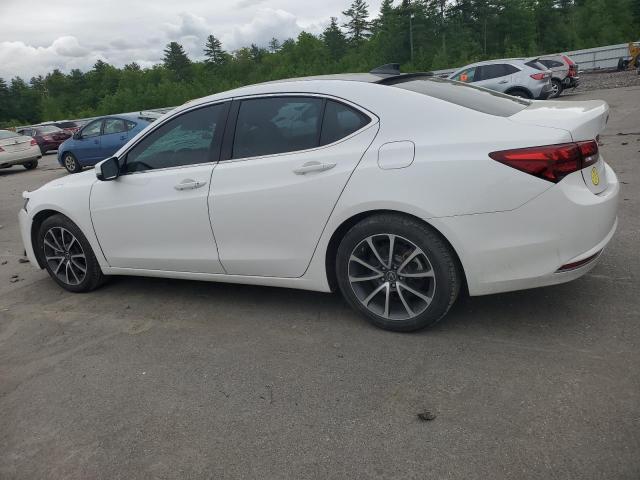 19UUB2F54GA012278 - 2016 ACURA TLX TECH WHITE photo 2