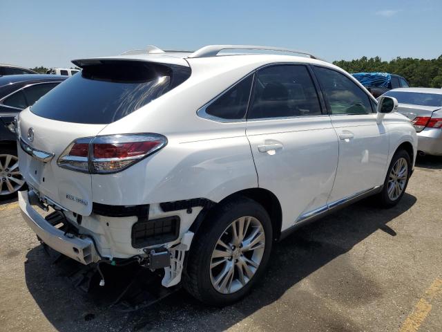 2T2ZK1BA2EC140069 - 2014 LEXUS RX 350 WHITE photo 3