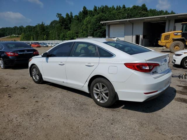 5NPE24AA8FH117853 - 2015 HYUNDAI SONATA ECO WHITE photo 2