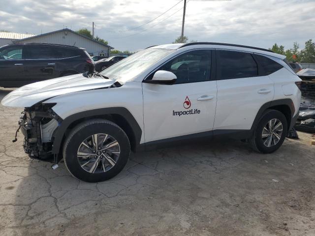 2024 HYUNDAI TUCSON BLUE, null