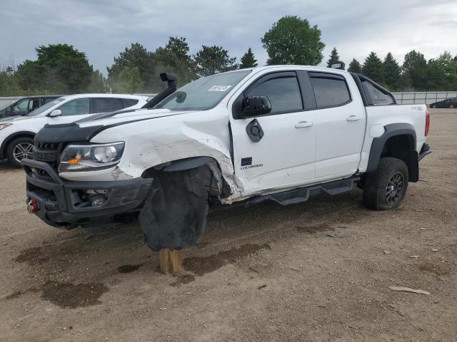 1GCGTEEN9K1319630 - 2019 CHEVROLET COLORADO ZR2 WHITE photo 1